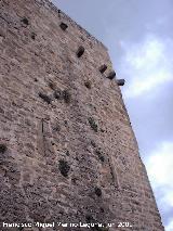 Castillo de La Moraleja. Matacanes y saeteras del torreón menor