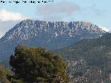 Pico Cambrón. Desde Torres de Albanchez