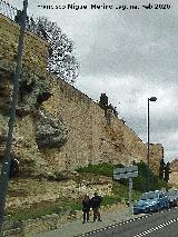 Muralla de Salamanca. Lienzo del Paseo del Rector Esperab�