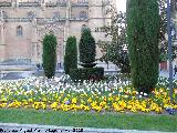 Plaza Anaya. Jardín