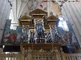 Catedral Nueva. Órgano de la Epístola. 