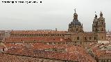 La Clerecía. Desde la Catedral