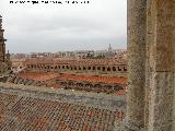 La Clerecía. Tejados