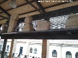 Iglesia de San Cebrián. Elementos funerarios de la necrópolis exterior