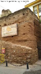 Torreón del Hoyo. 