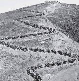 Guerra del Riff. Cargas de abastecimiento de una posici�n espa�ola con mulas