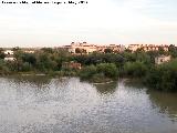 Molinos rabes. San Antonio, Tllez y Enmedio