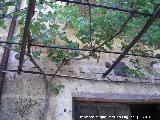 Molino del Peluca. Resto de vítor y antigua placa de seguro