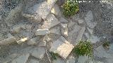 Villae romana de la Cañada del Parral. Tégolas