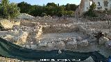 Villae romana de la Cañada del Parral. 