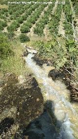 Poblado prehistórico de Alicún. Canal de agua que baja al poblado