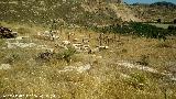 Poblado prehistórico de Alicún. Reconstrucción de cabaña