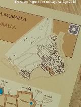 Lucentum. Termas de la Muralla. Situación