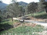 Ruta de senderismo a la Cañada de las Azadillas - Cruz de la Chimba. 