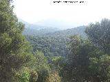 Ruta de senderismo a la Cañada de las Azadillas - Cruz de la Chimba. 