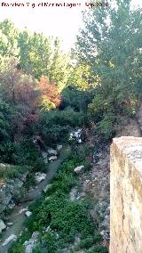 Ro Cubillas. A su paso por Pinos Puente