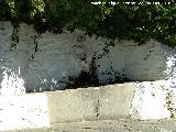 Fuente de la Carretera. 