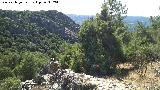 Arroyo de los Arcos. Cañón