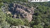 Arroyo de los Arcos. Cañón