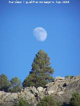Luna. Las Castañetas - Villacarrillo