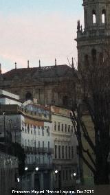 Catedral de Ja�n. Tejados. Arreglando el tejado