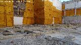 Excavacin arqueolgica de Simago. 