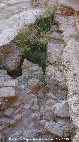 Excavacin arqueolgica de Simago. 