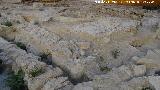 Excavacin arqueolgica de Simago. 