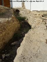 Excavacin arqueolgica de Simago. 