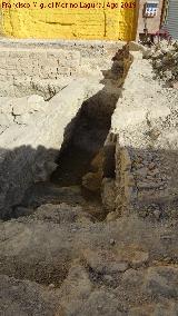 Excavacin arqueolgica de Simago. 