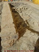 Excavacin arqueolgica de Simago. 