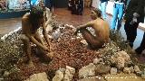 PaleoMágina. 
