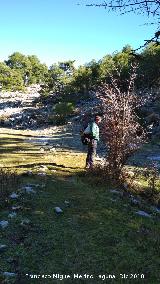 Camino viejo de la Cueva de los Alcañetes. 