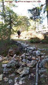Camino viejo de la Cueva de los Alcañetes. 