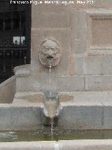 Fuente Principal de la Plaza de España. Caño