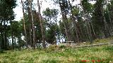 Área recreativa Caño Quebrado. 