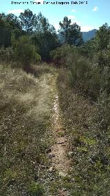 Camino del Chorreón. 