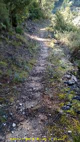Camino del Chorreón. 