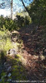 Camino del Chorreón. 