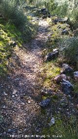 Camino del Chorreón. 