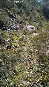 Camino del Chorreón. 