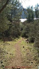 Camino del Chorreón. 