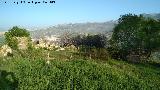 Cortijo de Córdoba. 