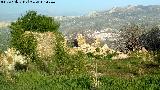 Cortijo de Córdoba. 