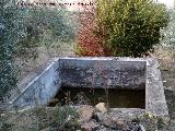 Alberca del Charquillo. 