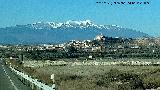 Magallón. Con el Moncayo al fondo