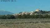 Magallón. 