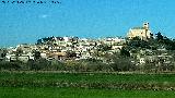 Magallón. 
