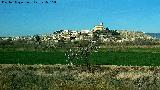 Magallón. 