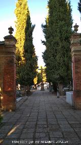 Cruz del Cañuelo. 